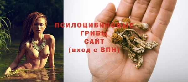 мяу мяу мука Беломорск